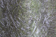 Pleck Or Little Ansty fibreglass roof work